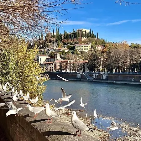 アパート Casa Elena