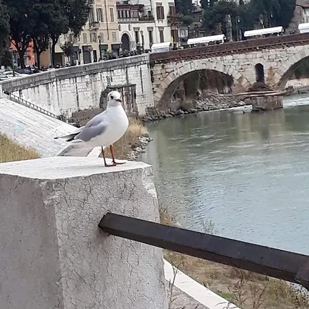 Casa Elena アパート *